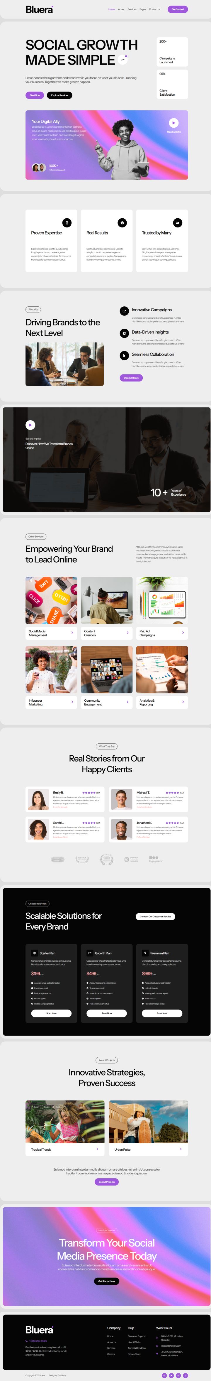 WordPress шаблон ThemeForest Bluera