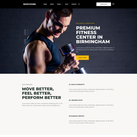 ThemeForest Bodyzone