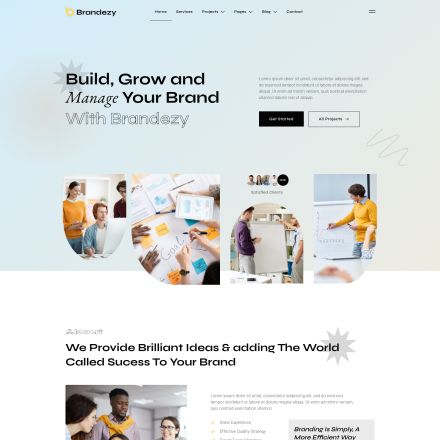 ThemeForest Brandezy