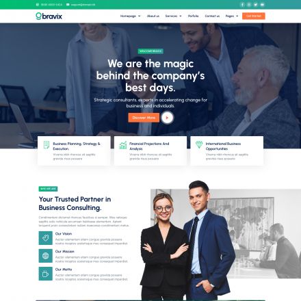 ThemeForest Bravix