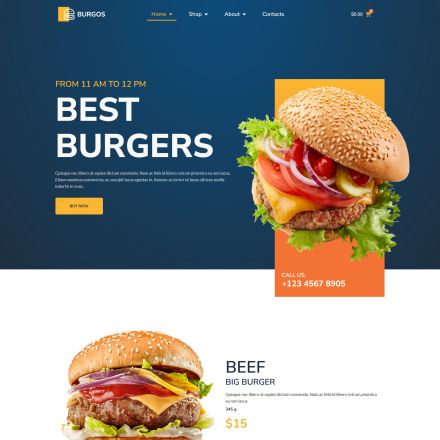 ThemeForest Burgos