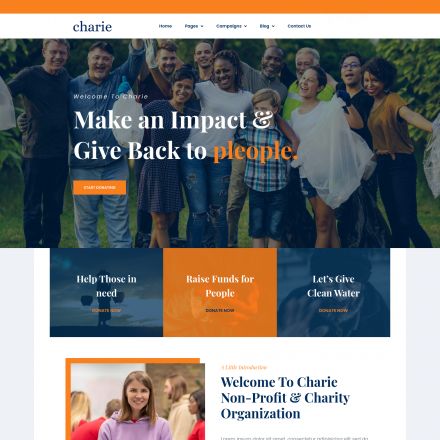 ThemeForest Charie