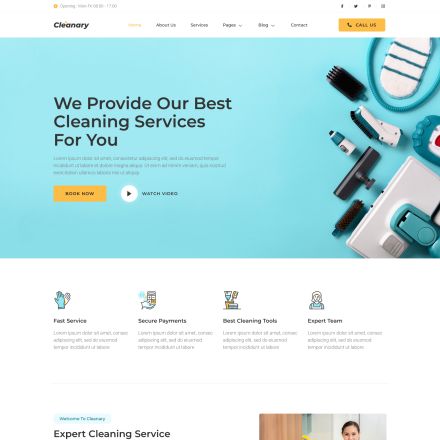 ThemeForest Cleanary