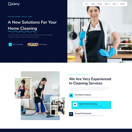 ThemeForest Cleany