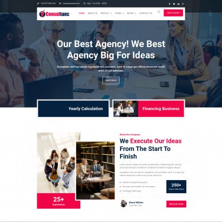 ThemeForest Consultanc