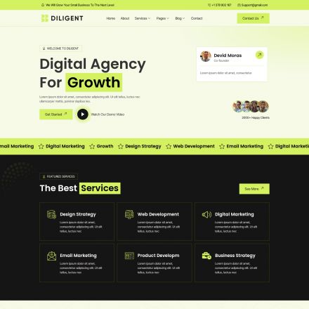 ThemeForest Diligent