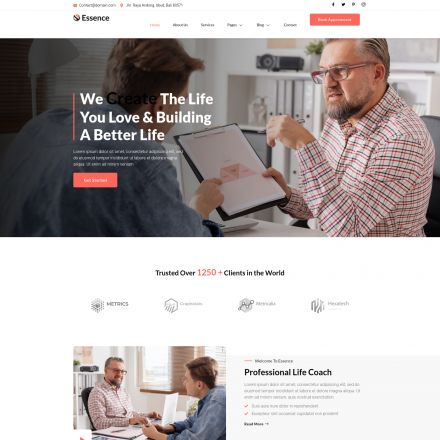 ThemeForest Essence