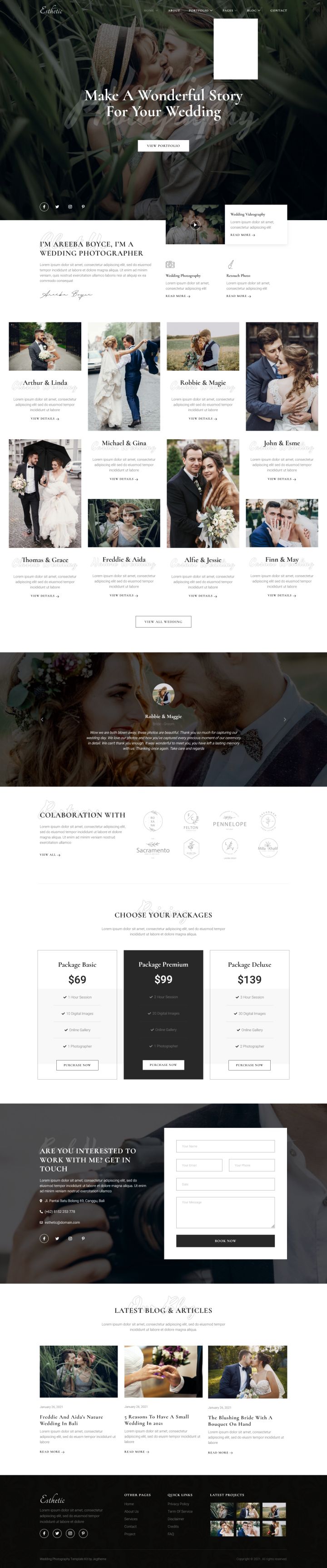 WordPress шаблон ThemeForest Esthetic