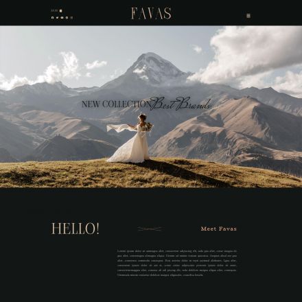 ThemeForest FAVAS