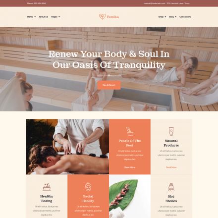 ThemeForest Femika