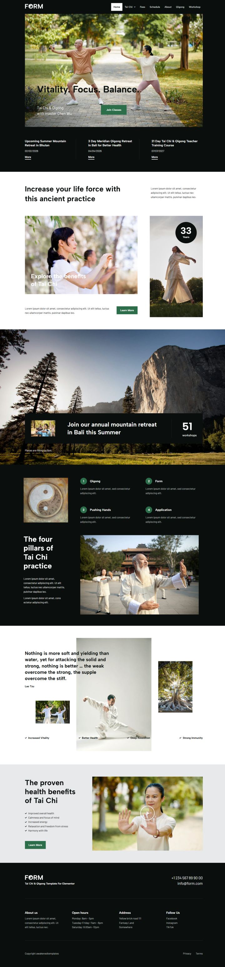WordPress шаблон ThemeForest Form