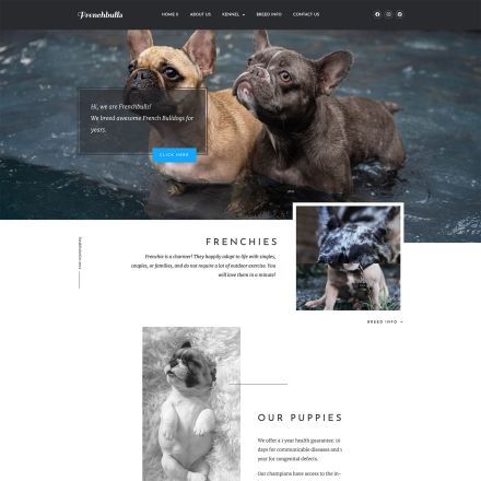 ThemeForest Frenchbulls