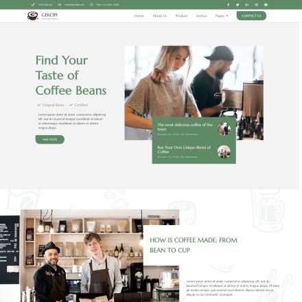 ThemeForest Gekopi