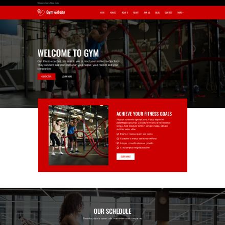 ThemeForest Gymsite