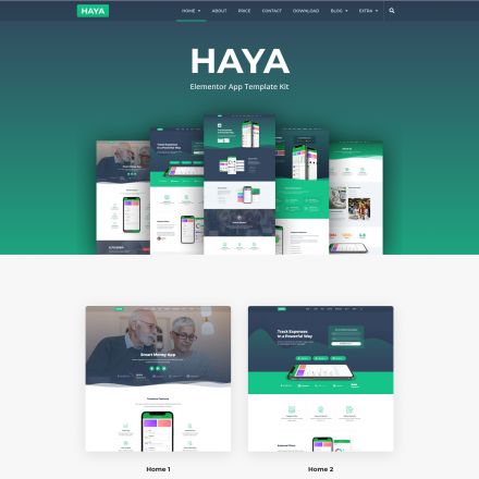 ThemeForest Haya