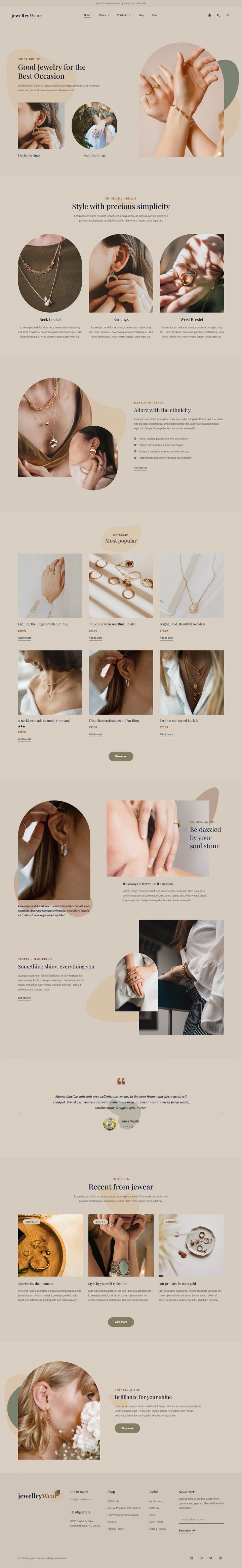 WordPress шаблон ThemeForest JewellryWear
