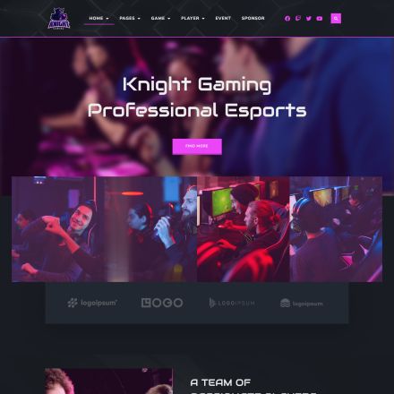 ThemeForest Knight