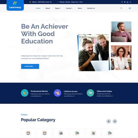 ThemeForest Learnway