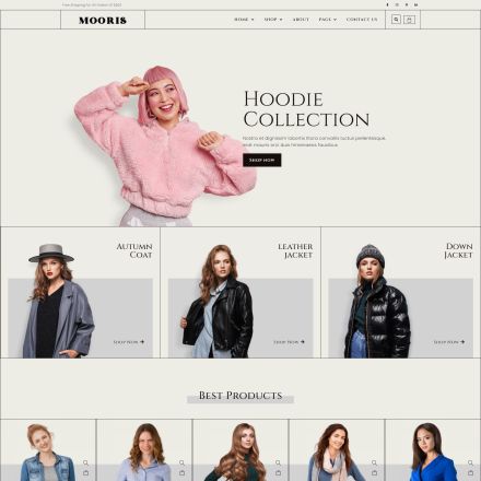 ThemeForest Mooris