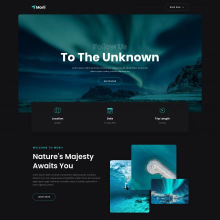 ThemeForest Morii