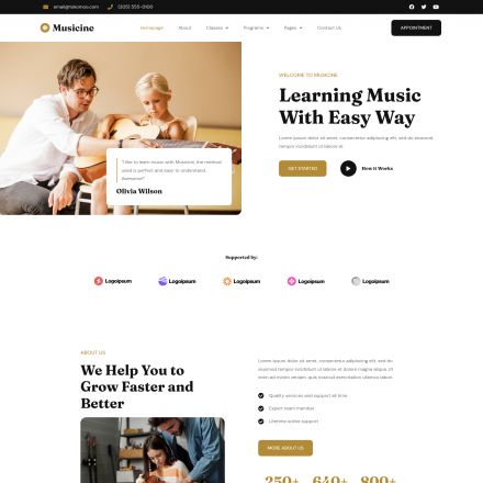 ThemeForest Musicine