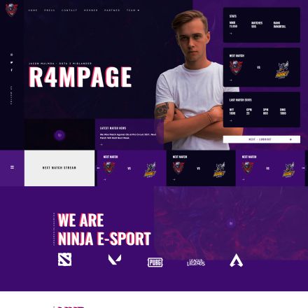 ThemeForest Ninja