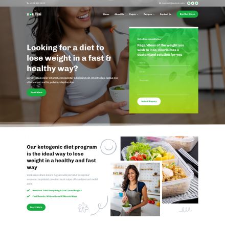 ThemeForest Nourisi