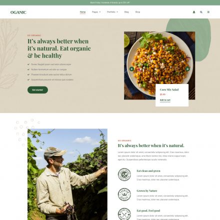 ThemeForest Oganic