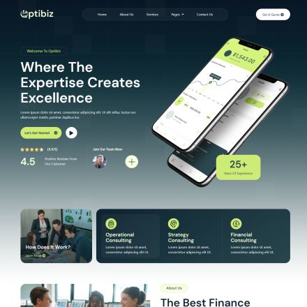 ThemeForest Optibiz