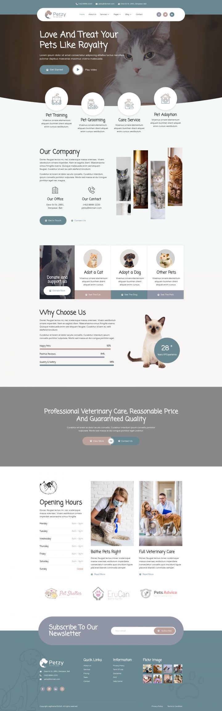 WordPress шаблон ThemeForest Petzy