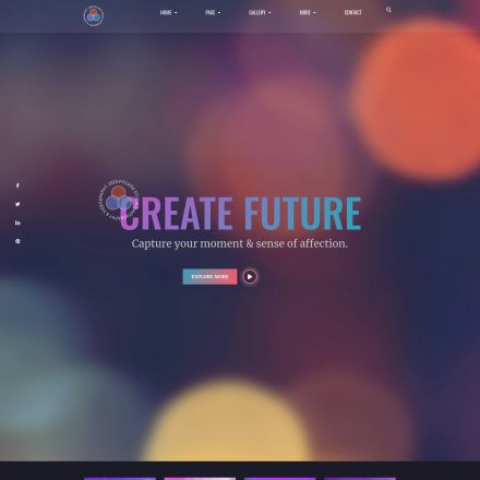 ThemeForest Piccaso