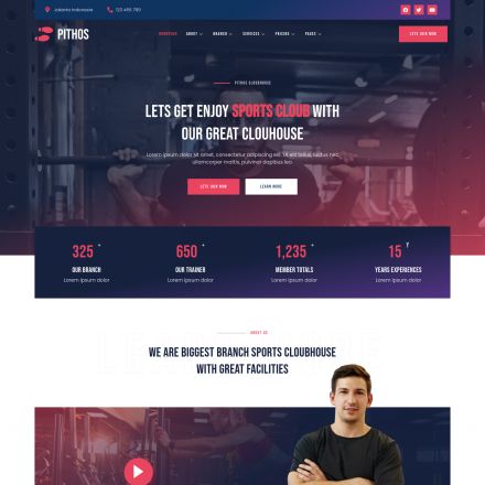 ThemeForest Pithos