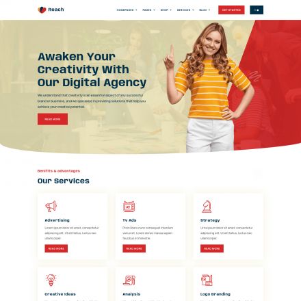 ThemeForest Reach