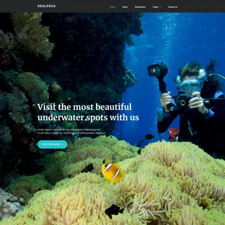 ThemeForest Sealosca