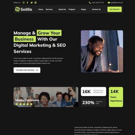 ThemeForest Seolla