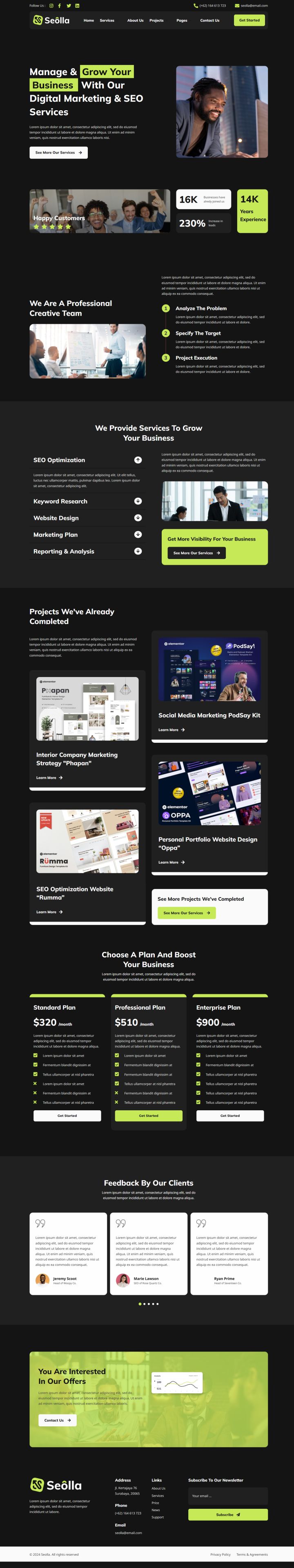 WordPress шаблон ThemeForest Seolla