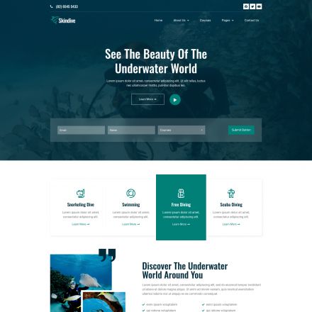 ThemeForest Skindive