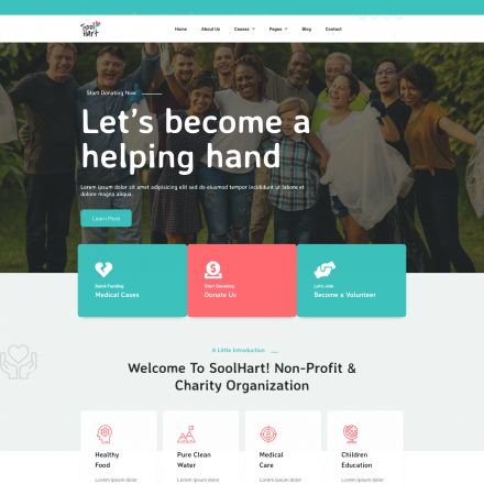 ThemeForest SoolHart