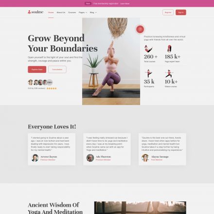 ThemeForest Soulme