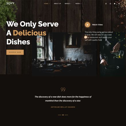 ThemeForest Sovy