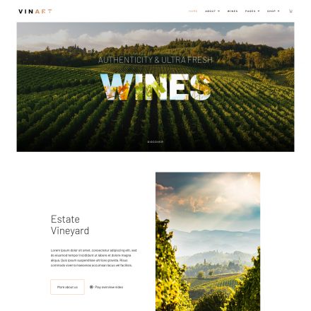 ThemeForest Vinart