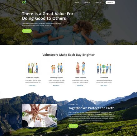 ThemeForest Voltee