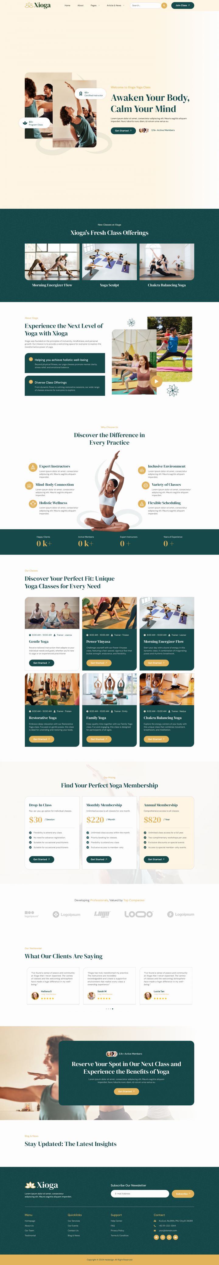 WordPress шаблон ThemeForest Xioga