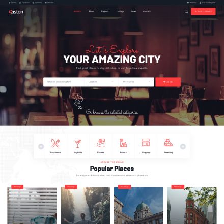 ThemeForest Ziston