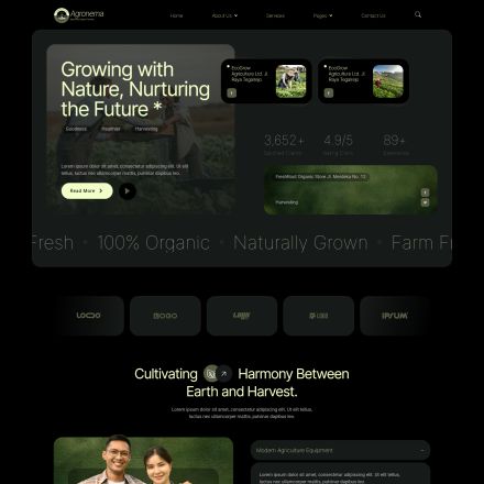 ThemeForest Agronema