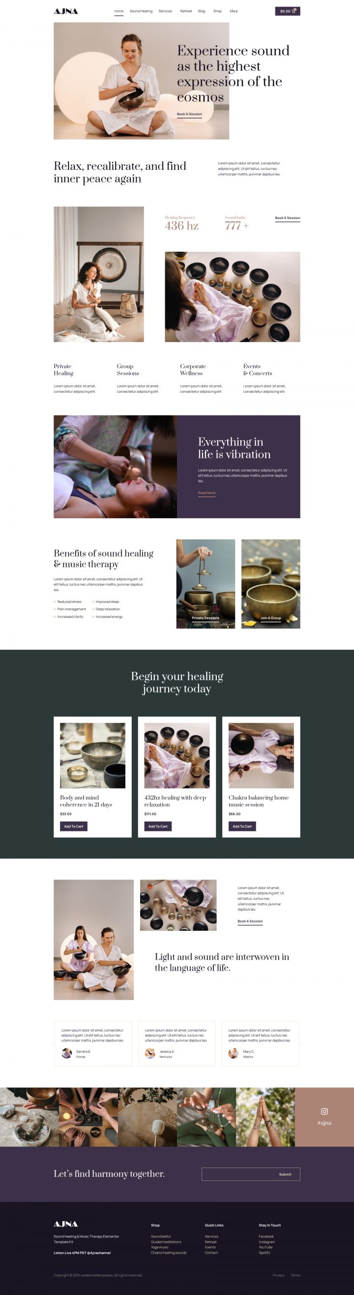 WordPress шаблон ThemeForest Ajna