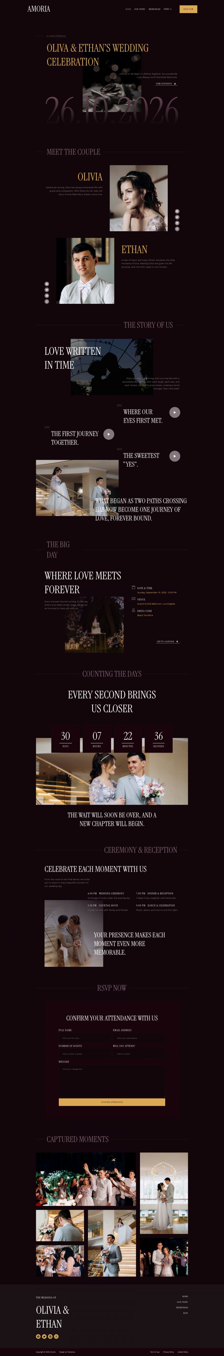 Шаблон ThemeForest Amoria WordPress шаблон ThemeForest Amoria