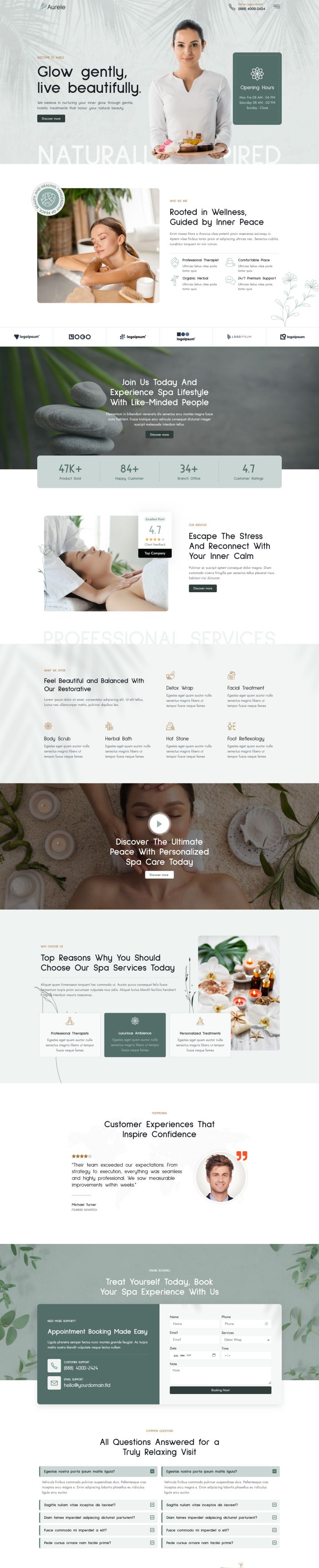 WordPress шаблон ThemeForest Aurele