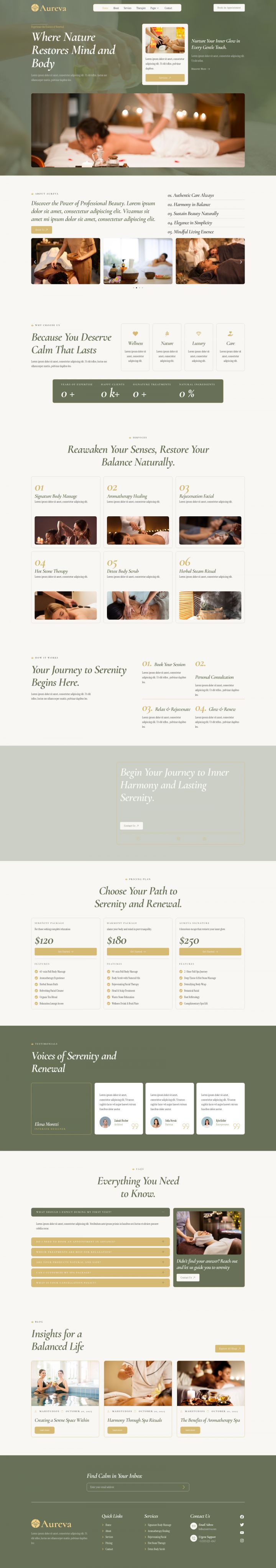 Шаблон ThemeForest Aureva WordPress шаблон ThemeForest Aureva