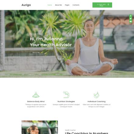 ThemeForest Auriga